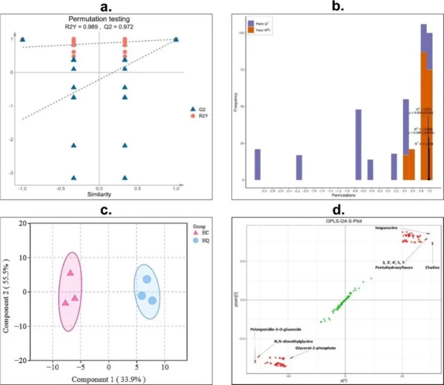 PCA and OPLS-DA modeling of metabolites in HC and HQ as analyzed by Q-TOF LC/MS/MS